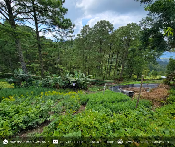 Se vende terreno sobre carretera a La Tigra – La Puente, Jutiapa - Imagen 5