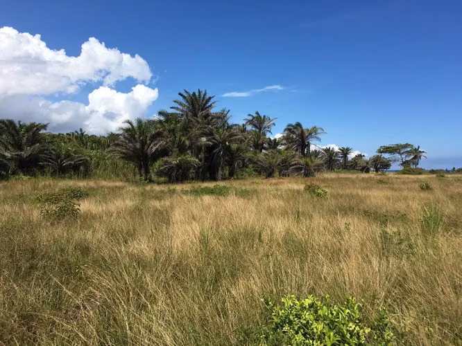Oceanfront lot for sale La Ceiba Honduras owner financing