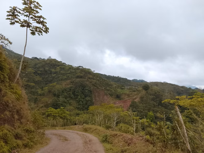 AVALUO DE PROPIEDADES