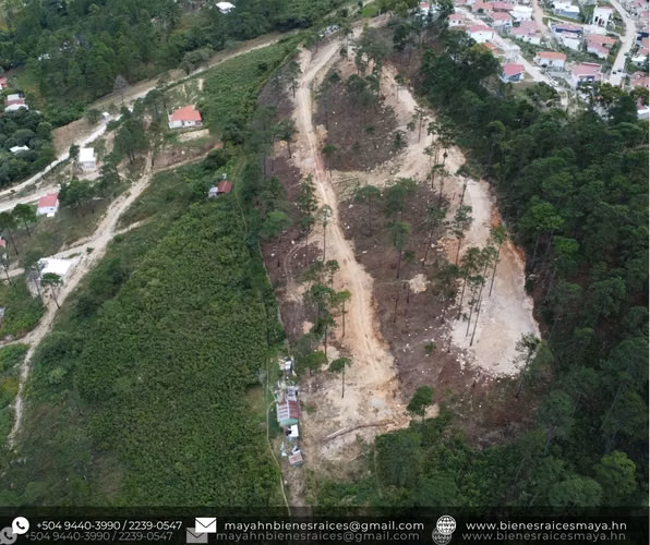 ¡Se venden terrenos en Tatumbla, Francisco Morazán! - Imagen 4