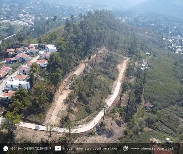 ¡Se venden terrenos en Tatumbla, Francisco Morazán! - Imagen 6