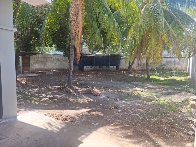  Inmueble Comercial en Renta | Prolongación Ave. Junior – San Pedro Sula - Imagen 2