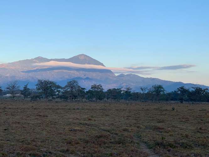 ¡LOTES PLANOS EN VENTA! JOALACA CORQUIN, COPAN