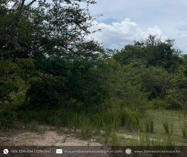 ¡Se venden terrenos en Santo Domingo, Valle de Otoro – Intibucá!