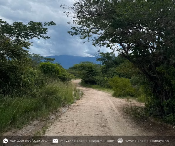 ¡Se venden terrenos en Santo Domingo, Valle de Otoro – Intibucá!