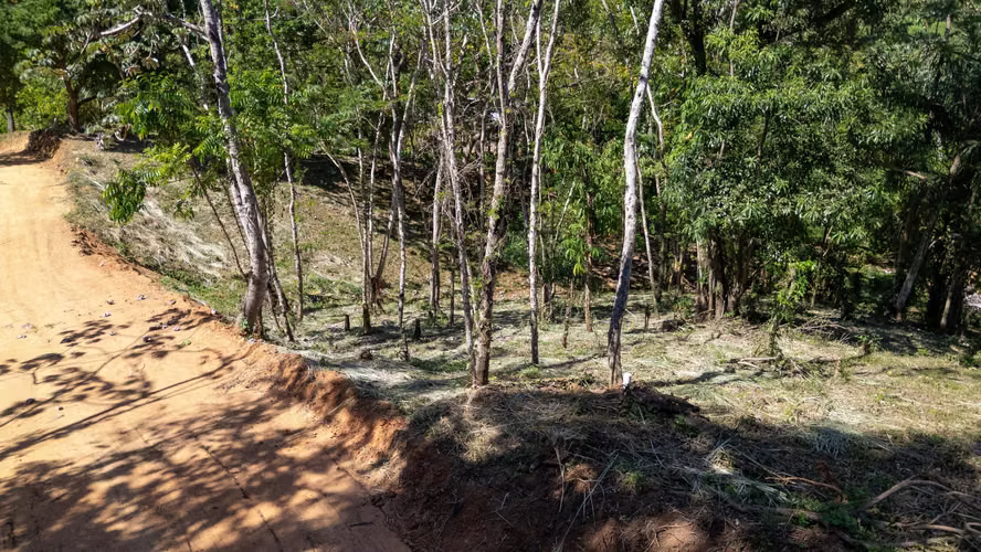 Se Venden Lotes de Terreno en Roatan