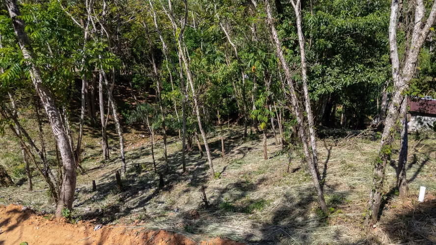 Se Venden Lotes de Terreno en Roatan