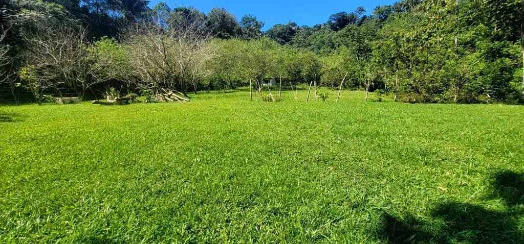 Venta de propiedad en omoa cabecera