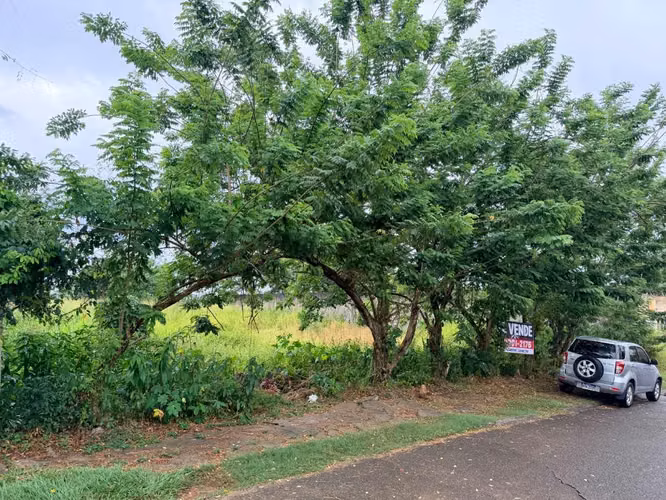 Terreno Grande y Plano en Residencial Quintas Los Laureles | 1,512 m² - Imagen 3