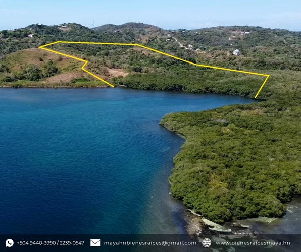 ¡Se vende hermoso terreno frente al mar en Roatán! - Imagen 3