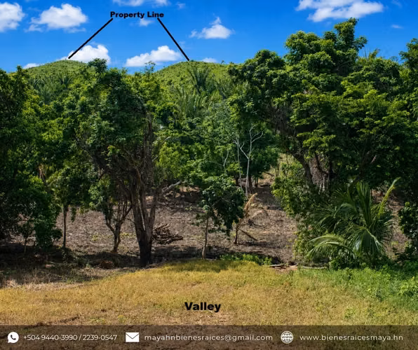 ¡Se vende hermoso terreno frente al mar en Roatán! - Imagen 7