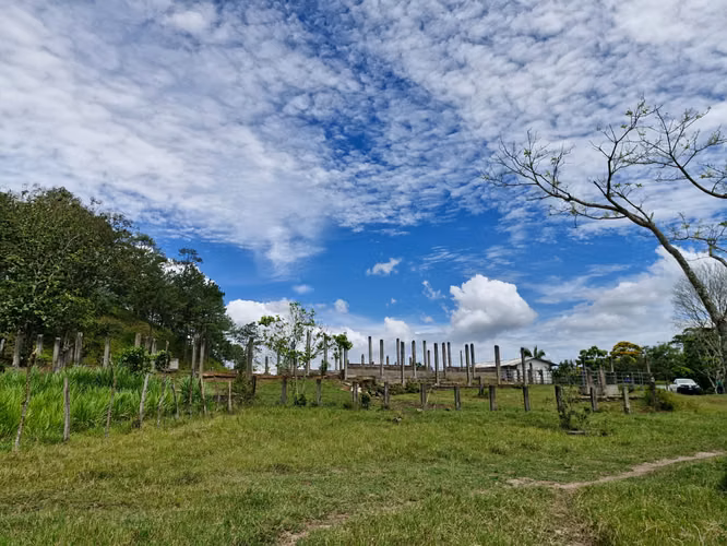  Propiedad en Venta en Santa Cruz de Yojoa | 51.7 Manzanas - Imagen 8