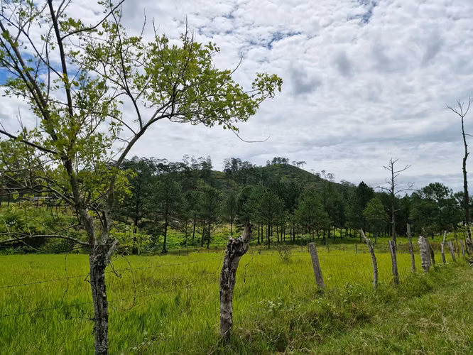  Propiedad en Venta en Santa Cruz de Yojoa | 51.7 Manzanas - Imagen 6