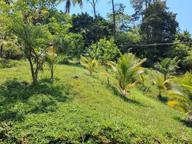 Se Venden 5,625 Varas² de Terreno en Omoa – Sector Las Flores, Muchilena