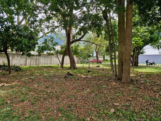 Terrenos en Venta | Residencial El Barrial – San Pedro Sul