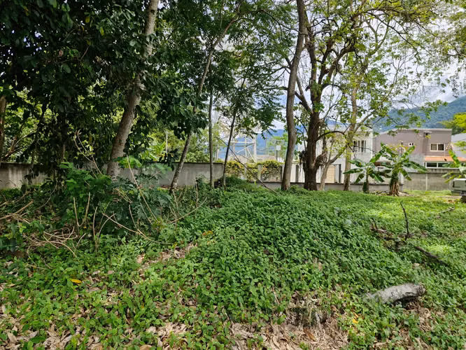 Terrenos en Venta | Residencial El Barrial – San Pedro Sul