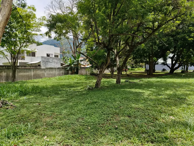 Terrenos en Venta | Residencial El Barrial – San Pedro Sul