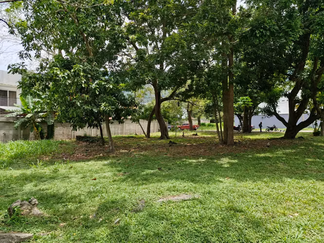 Terrenos en Venta | Residencial El Barrial – San Pedro Sul