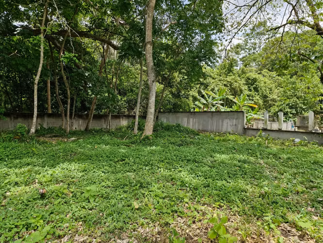 Terrenos en Venta | Residencial El Barrial – San Pedro Sul