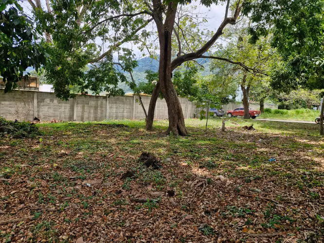 Terrenos en Venta | Residencial El Barrial – San Pedro Sul