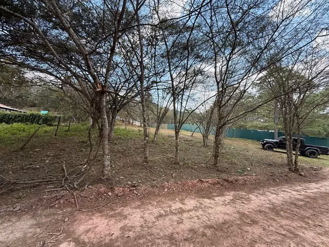 Terreno totalmente plano 1765 v2 Tatumbla el rodeo