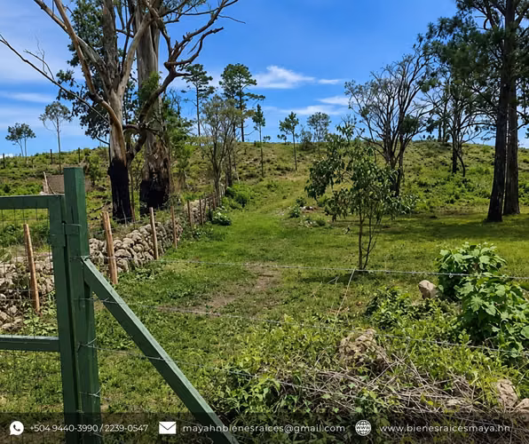 ¡Se vende propiedad en San Martín, Francisco Morazán! - Imagen 3