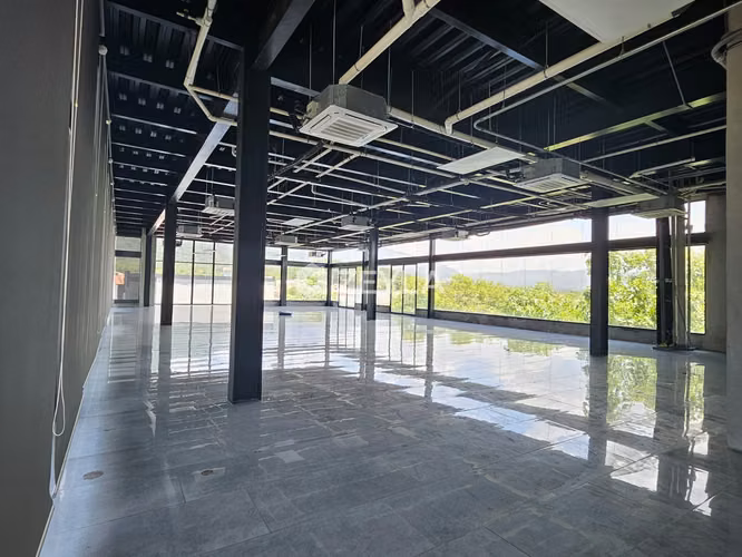 Se Alquila Local Comercial En Plaza La Foresta, Blvd. Mackay, S.P.S. - Imagen 1