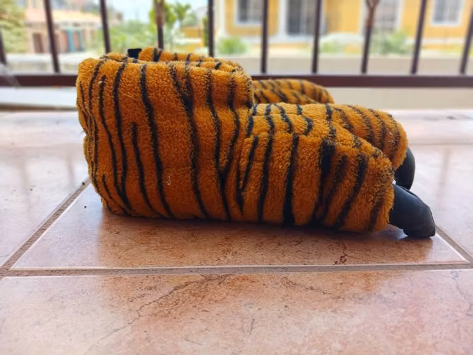 Pantuflas de tigre