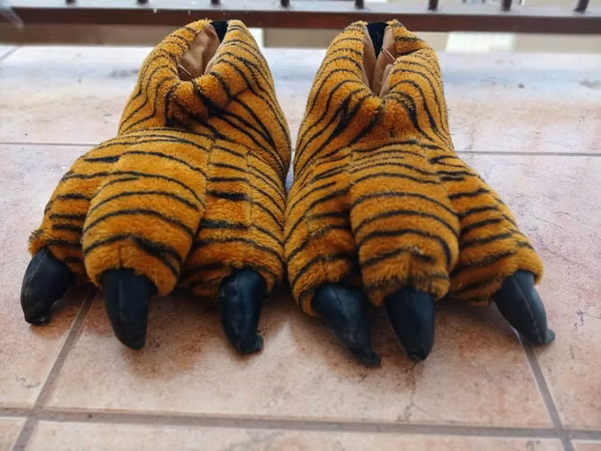 Pantuflas de tigre