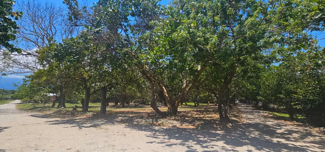 En Venta Terreno a la orilla de la playa.