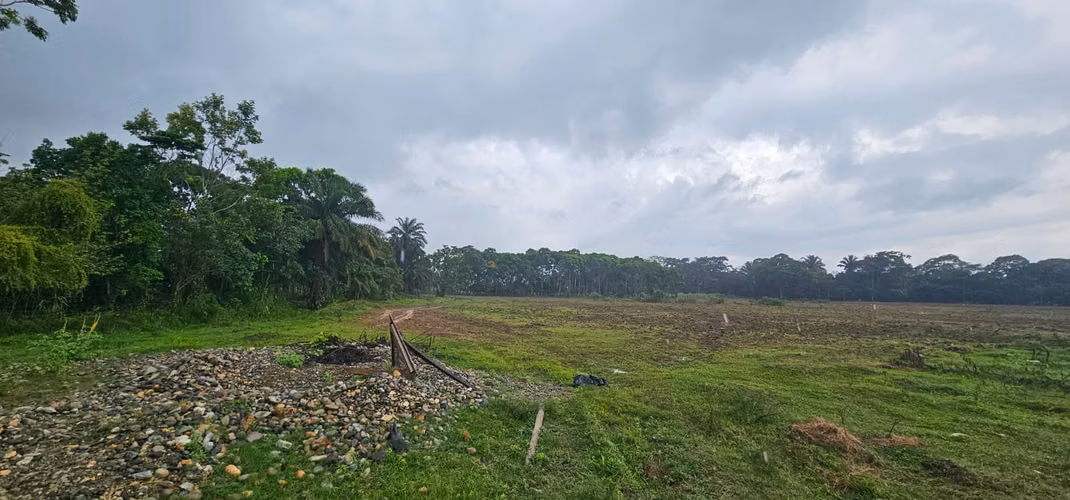 En Venta finca de 117 Manzanas en Orotina