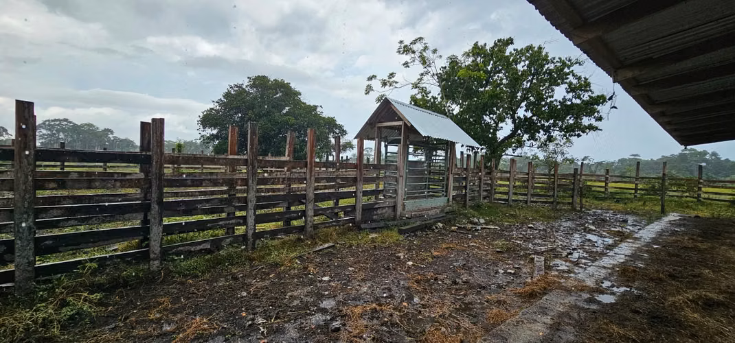 En Venta finca de 117 Manzanas en Orotina