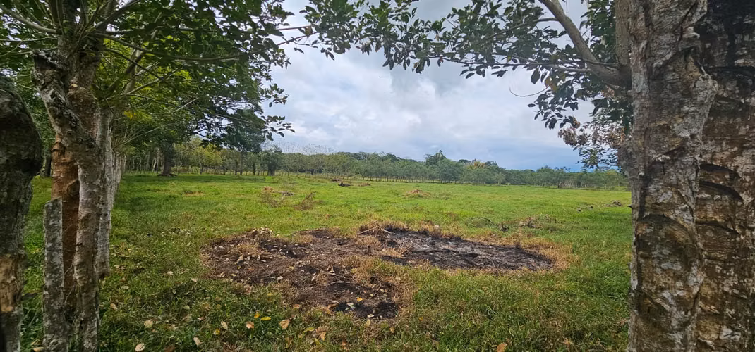 Se Vende Finca de 26 Manzanas en La Unión, Atlantida.