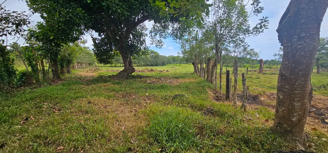 Se Vende Finca de 26 Manzanas en La Unión, Atlantida.