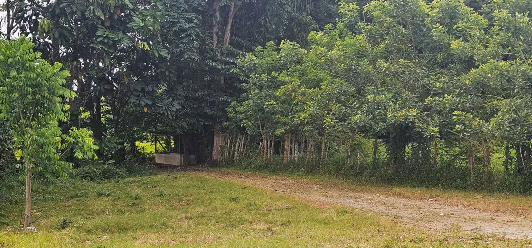 En venta finca de 45 Manzanas, ubicada en La union, Atlántida.