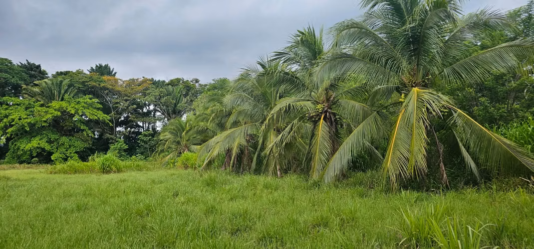 En venta finca de 45 Manzanas, ubicada en La union, Atlántida.