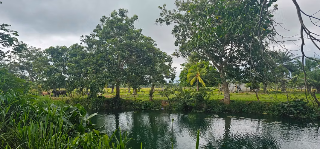 En venta finca de 45 Manzanas, ubicada en La union, Atlántida.