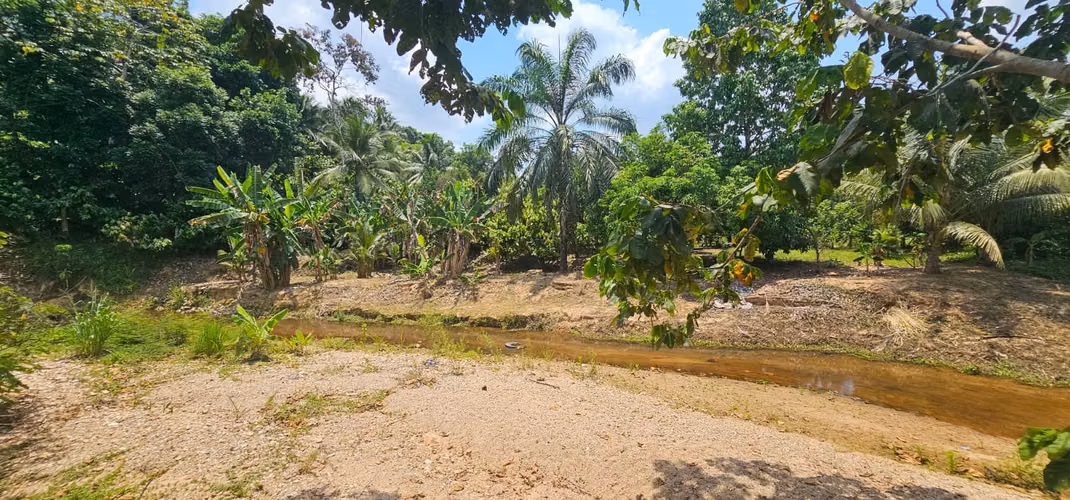 En venta 6 manzanas a Orillas de La CA-13, aldea Barranquilla, municipio de Esparta, Atlántida. - Imagen 7