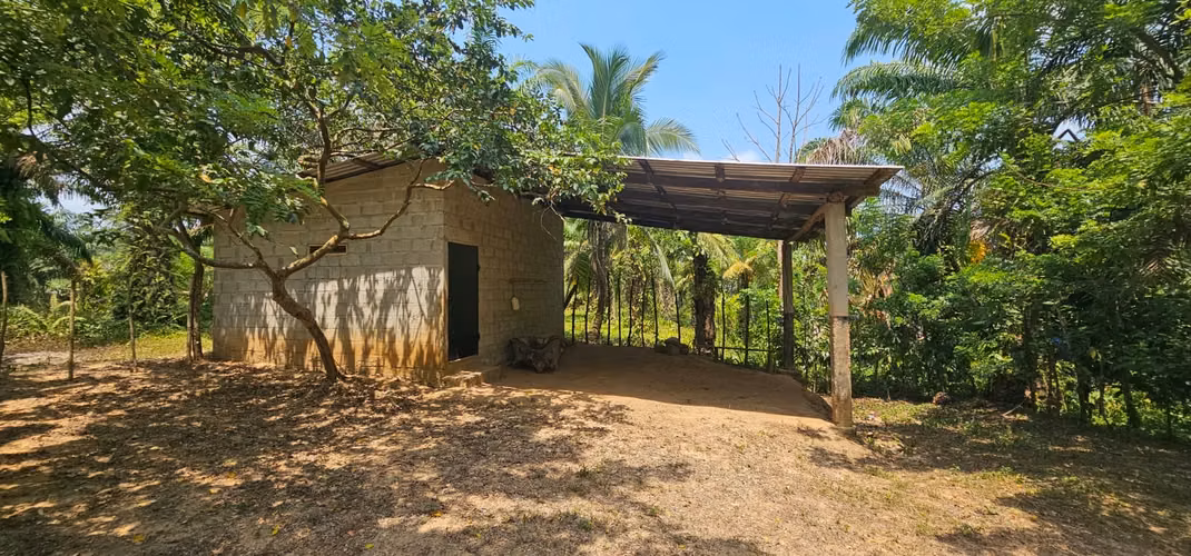 En Venta Finca de Palma de Aceite de 25 Manzanas