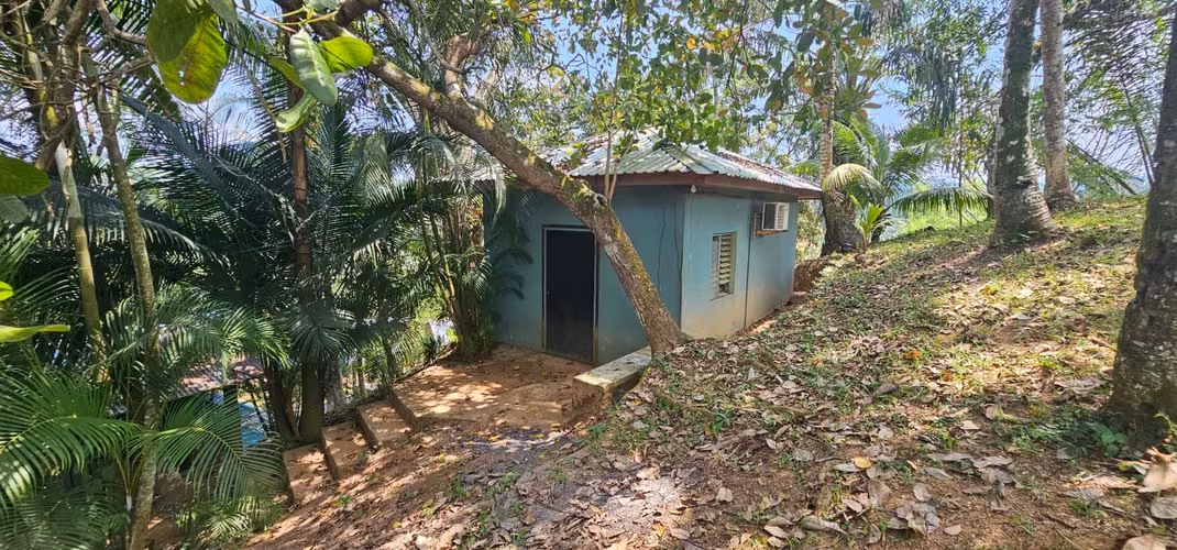 En Venta Finca de Palma de Aceite de 25 Manzanas