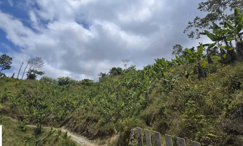  Se Vende Propiedad de 12 Manzanas en Tegucigalpita, Omoa, Cortés