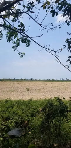 Se Vende Propiedad de 1,485 Manzanas en Cuyamelito, Omoa, Cortés
