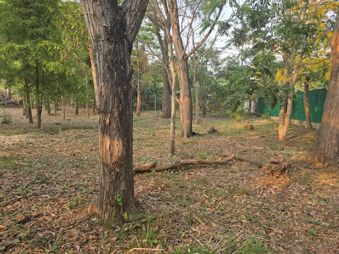 SE VENDE DE TERRENO COMAYAGUA