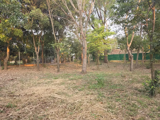 SE VENDE DE TERRENO COMAYAGUA