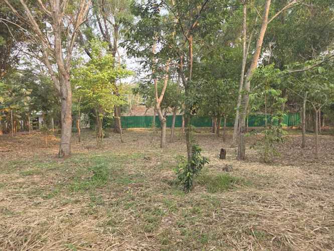 SE VENDE DE TERRENO COMAYAGUA