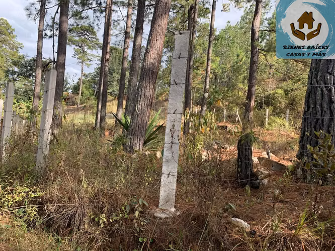 VENTA DE TERRENO DE ESQUINA EN ZONA EL MOLINO EN VALLE DE ÁNGELES - Imagen 5