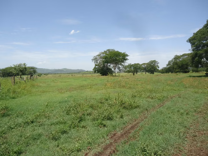 Selling Extensive Property in San Lorenzo