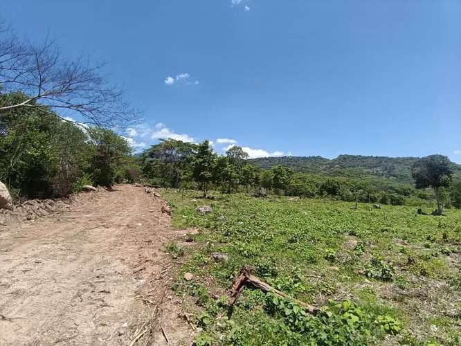 210 MANZNA PLANAS