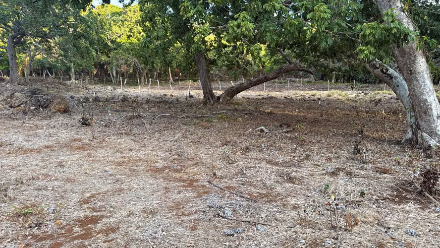  Se Vende Hermoso Terreno en Utila – Sector Punkihil, Islas de la Bahía