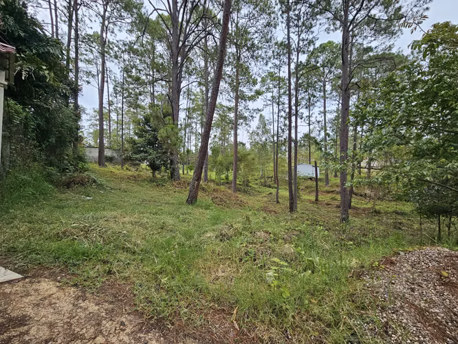 Venta de Campo Pinares del Valle